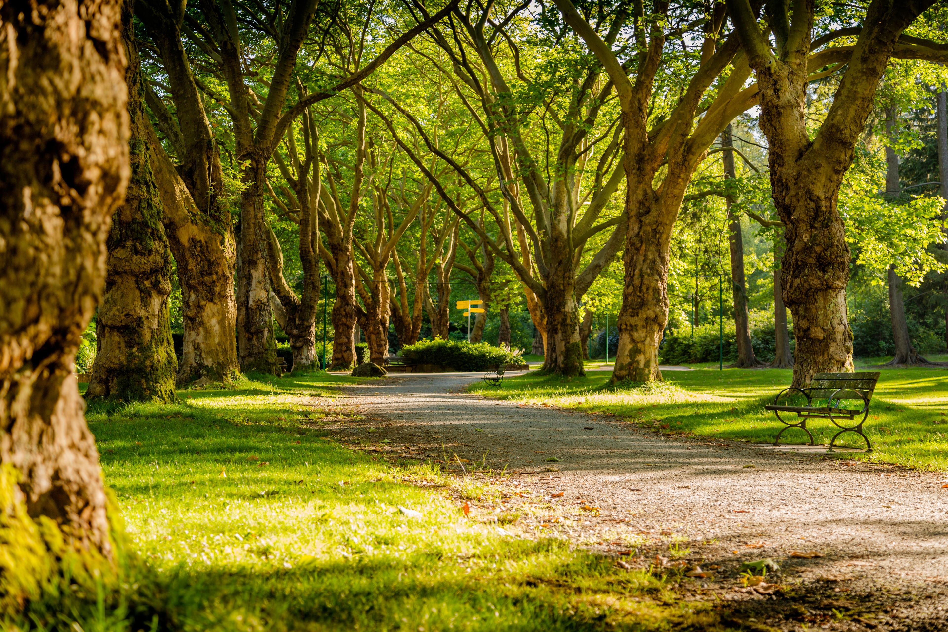 Park- und Grünflächenreinigung