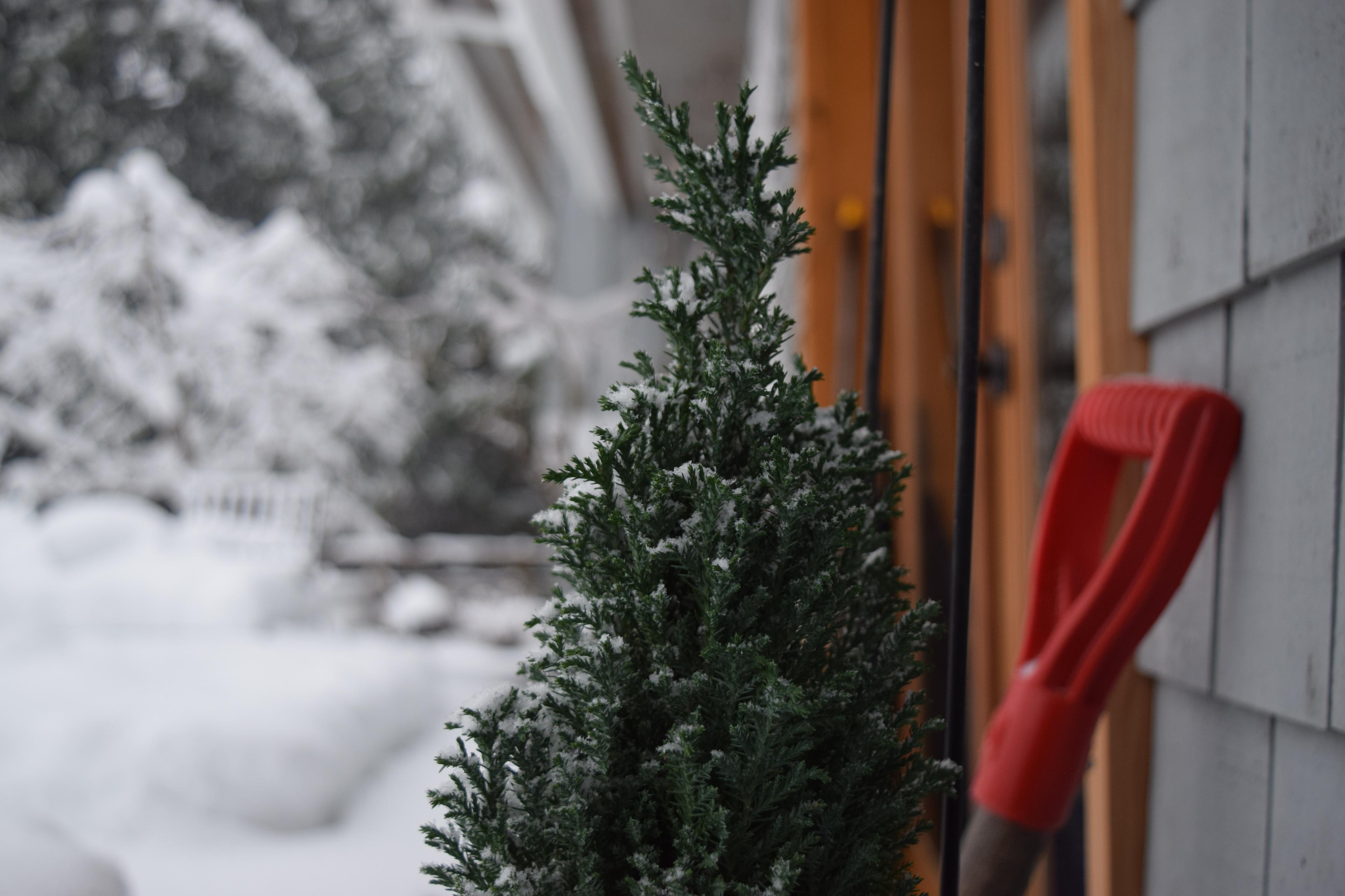 Winterdienst für Privathaushalte